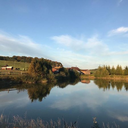 Domki Przy Osrodku Narciarskim Trzepowo Hotel Trzepowo  Buitenkant foto