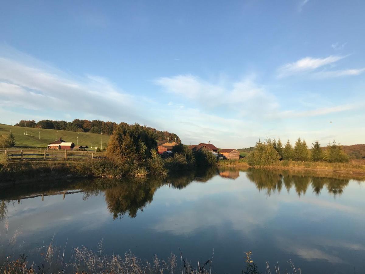 Domki Przy Osrodku Narciarskim Trzepowo Hotel Trzepowo  Buitenkant foto